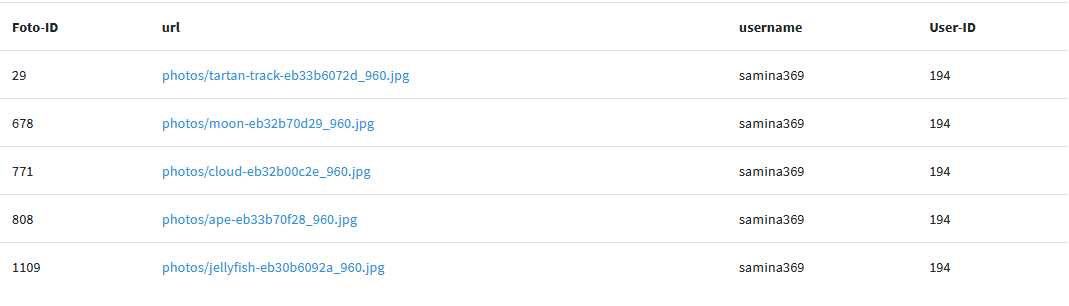 Untitled 1 3.png
